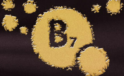 Photos for Blogsdsb7 copy