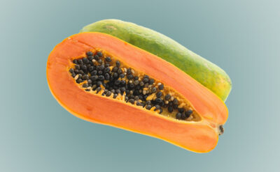 886x548 Blog cosdawe23213sdapy