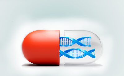 886x548 Blog skjoamlsdkasndnas