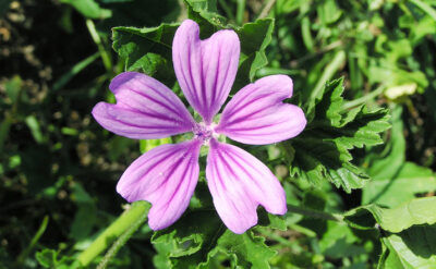 886x548 Blog 2132313344454dx