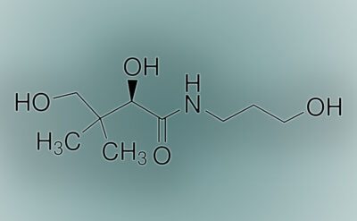 886x548 Blog codmanosepy
