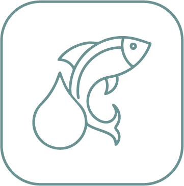 conalt kategori omega3