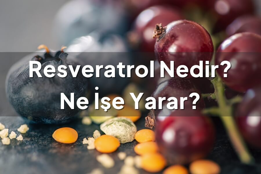 resveratrol-nedir-ne-ise-yarar-conalt (1)