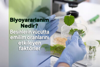 biyoyararlanım-conalt-blog (1)